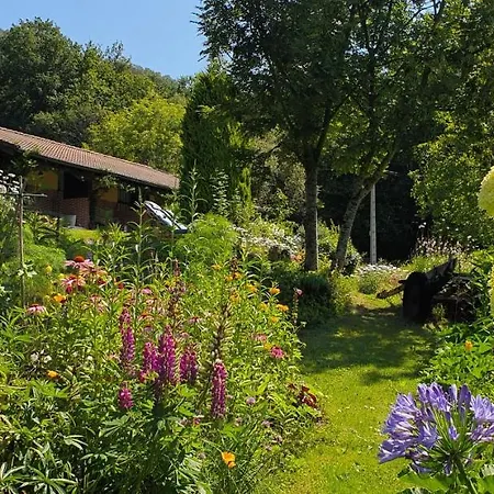 Rurales Rincon De San Martin Grazanes