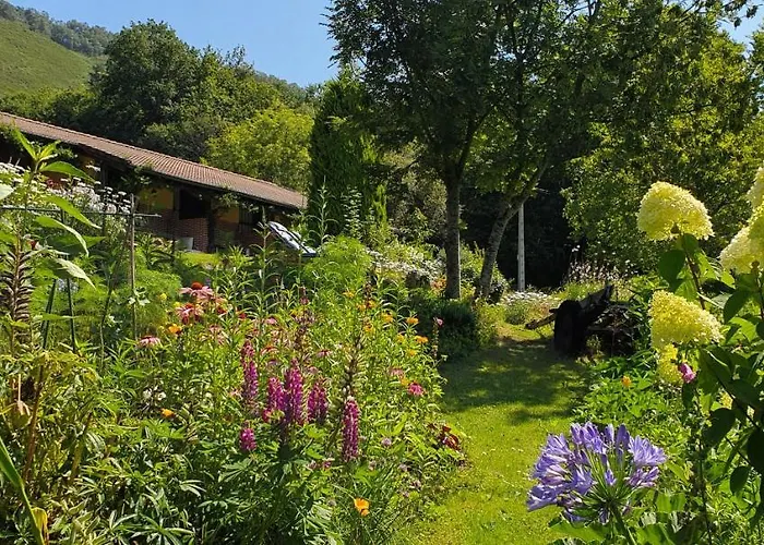 Rurales Rincon De San Martin Grazanes